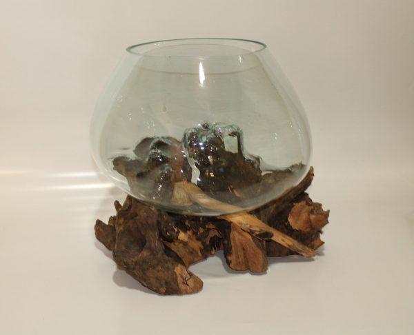 Glass Bowl on driftwood