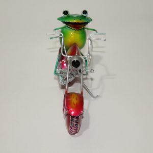 Frog on Bike