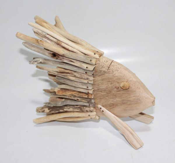 Fish in Driftwood