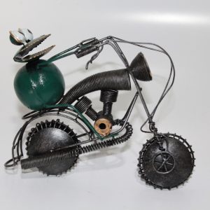 Frog on BikeFrog on Bike