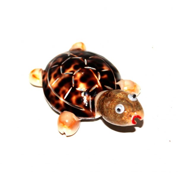 Turtle with Magnet