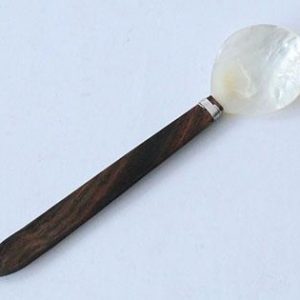 Spoon (set of 5)