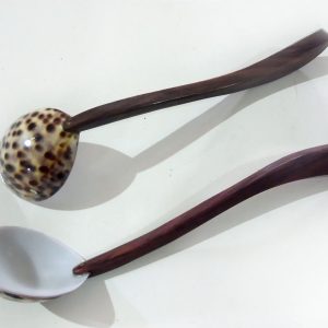 Long spoon Pack of 2