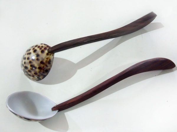 Long spoon Pack of 2