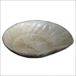 Bowl from ShellBowl from Shell