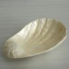 Bowl from Shell