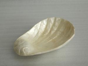 Bowl from ShellBowl from Shell