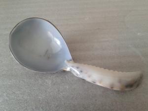 Shell spoonShell spoon