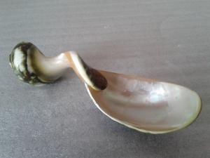 Shell spoonShell spoon