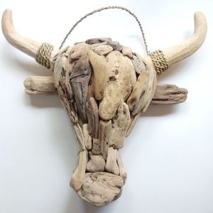 Bull headBull head