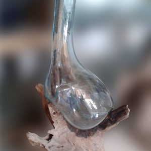 Glass Vase on the Wood Long Neck