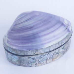 Shell Box PurpleShell Box Purple