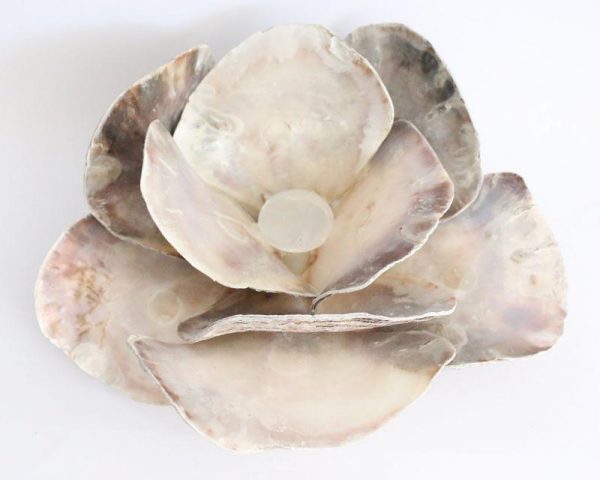 Shell flower candle holder