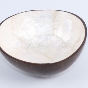 Coconut bowl laminated with shell