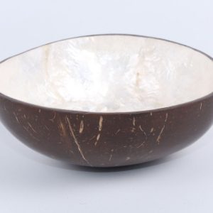 Coconut bowl laminated with shell