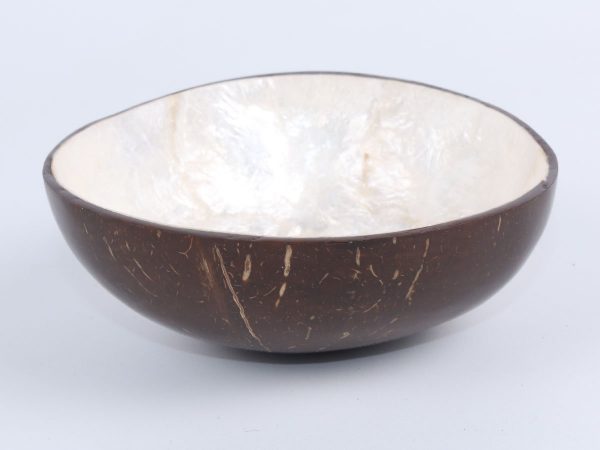 Coconut bowl laminated with shell